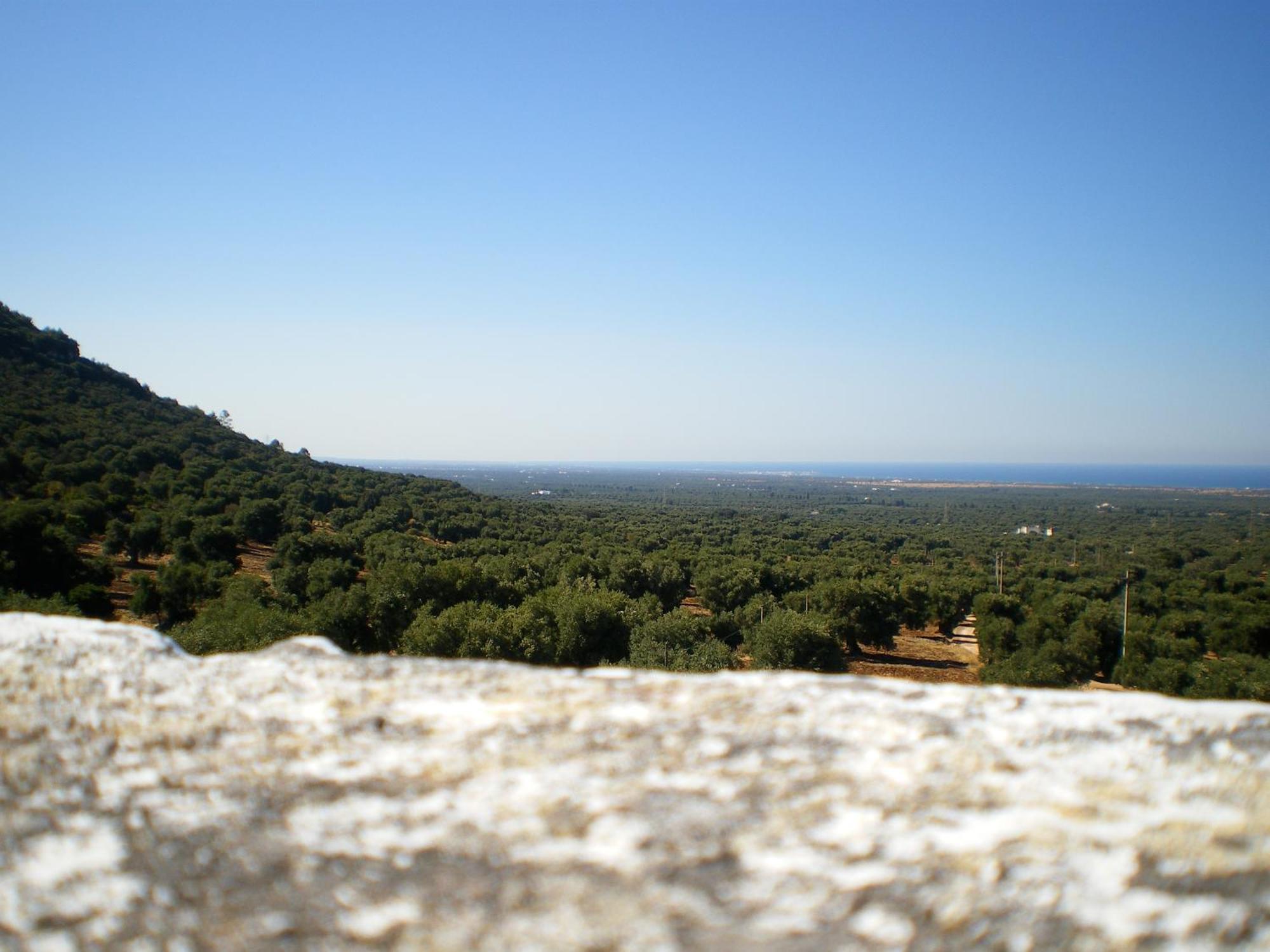Masseria Morrone Ostuni Exterior photo